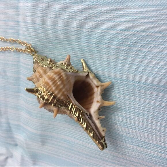 Fabulous Treasure Conch Shell Necklace (j3) - Picture 4 of 8
